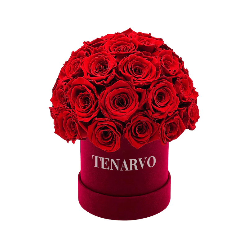 Tenarvo Boutique