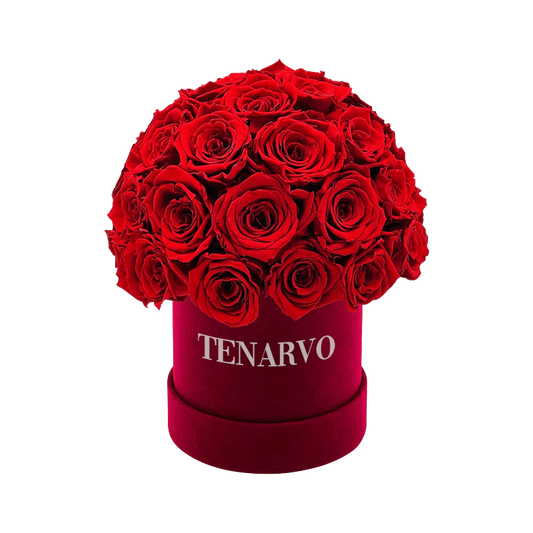 Tenarvo Boutique