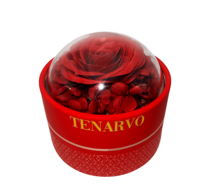 Tenarvo Rose